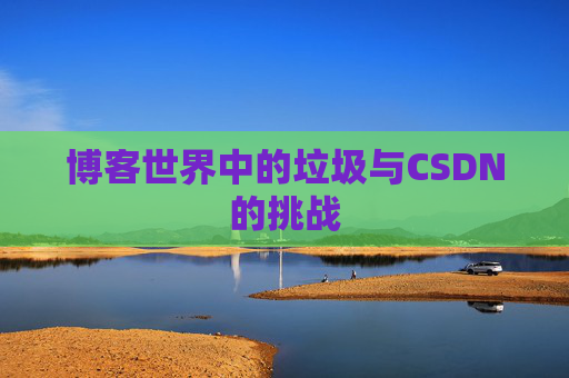 博客世界中的垃圾与CSDN的挑战